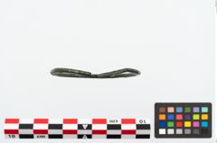 Foto von Bronzearmreif (NHMW-PRAE-025218)